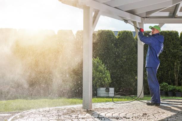 Animal Enclosure Cleaning in Nowthen, MN