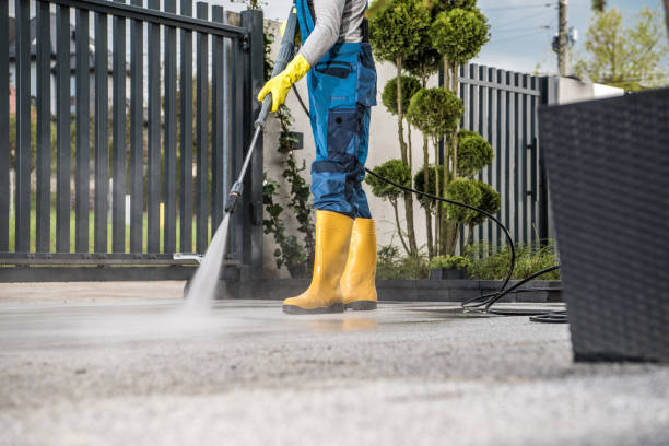 Best Gutter Cleaning  in Nowthen, MN